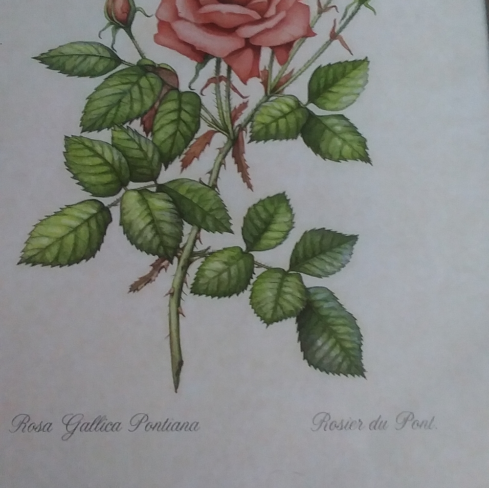 VINTAGE ART DECOR - Picture 4 of 4